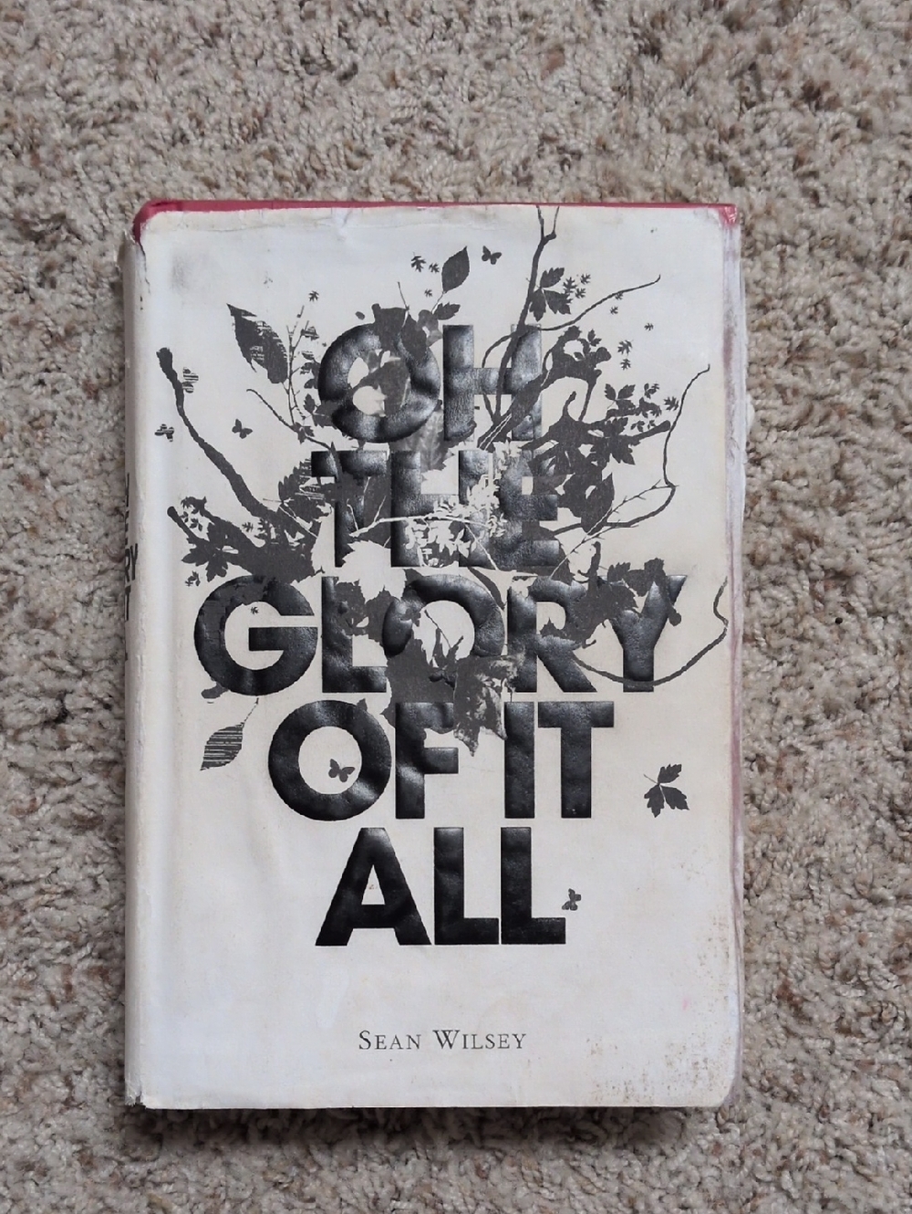 Oh The Glory Of It All By Sean Wilsey